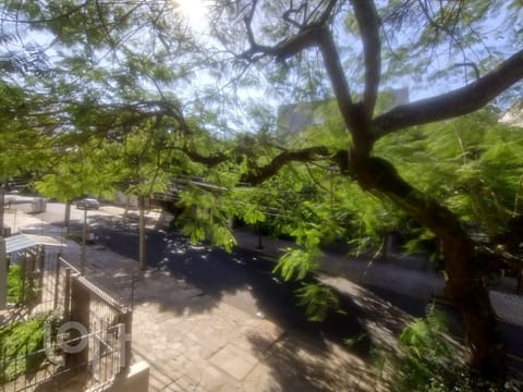 Image 5 - 255224
